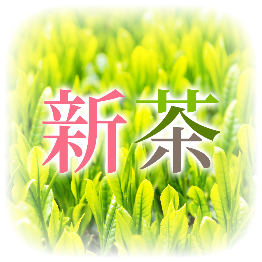 今年の新茶をご予約販売中です