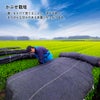 お茶は静岡産鹿児島産宮崎産をブレンド