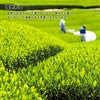 かぶせ栽培