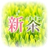 おすすめの新茶
