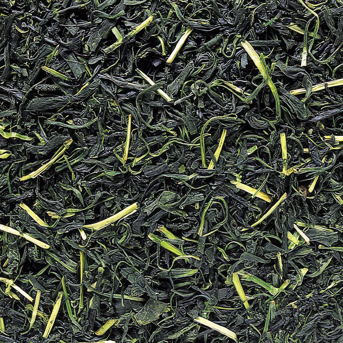 玉緑茶の荒茶作り