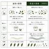 荒造りの説明