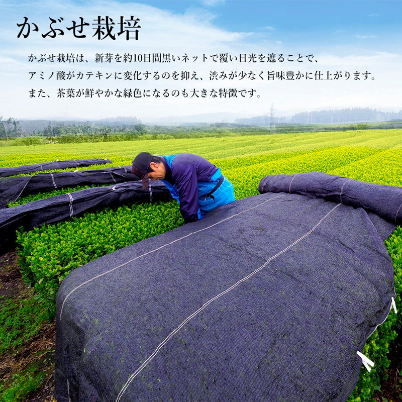 かぶせ製法
